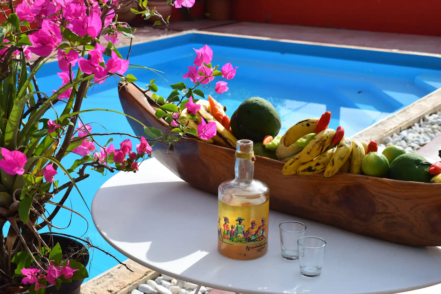 Piscine privée et jardin tropical pour tournages et shootings